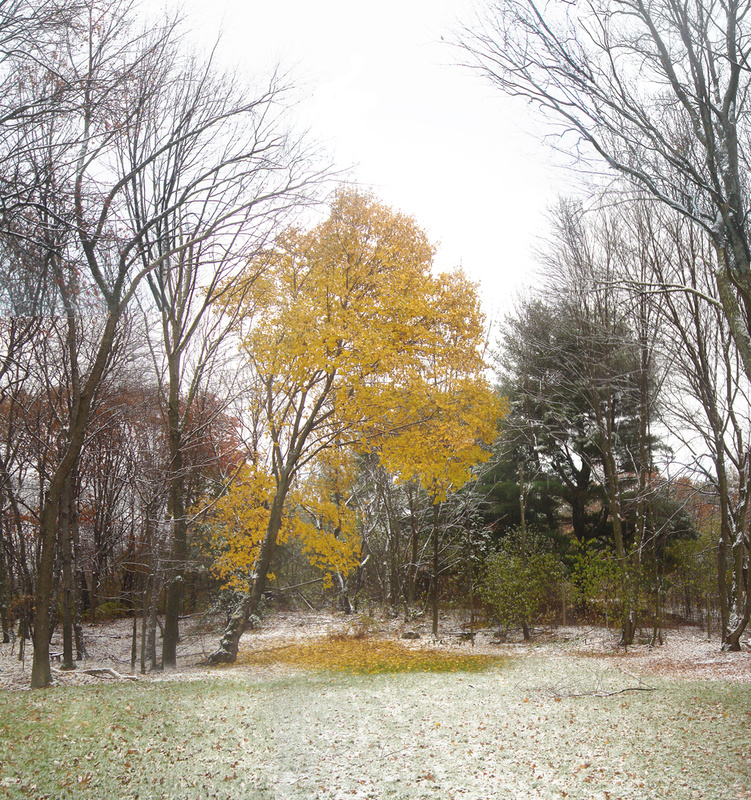 Red, Yellow, Green - Outside Myself - Recovery