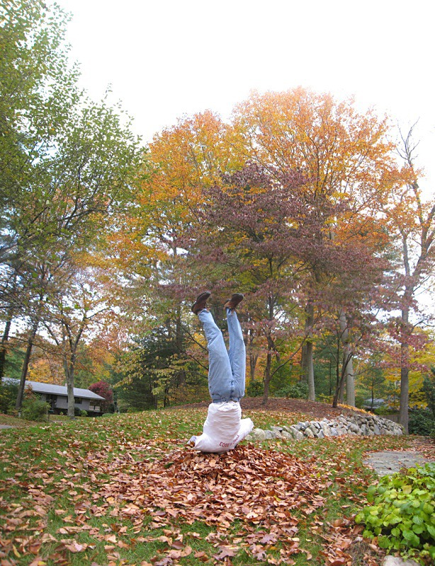 Unraked leaves Wayland - Halloween
