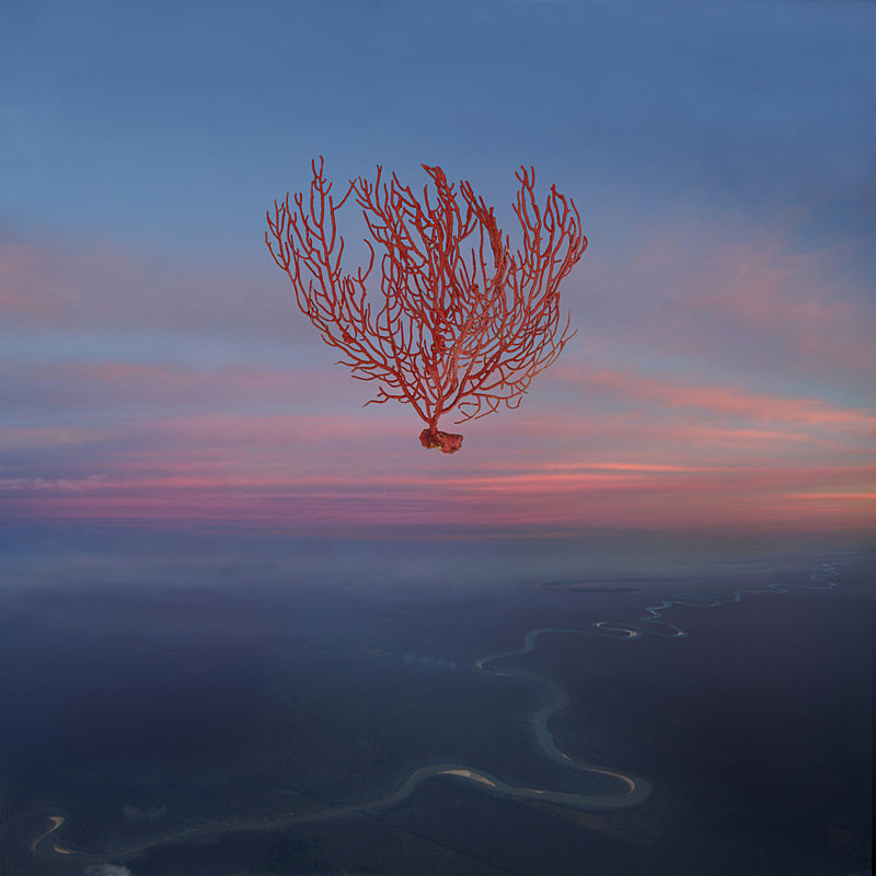 Far from home - Florida