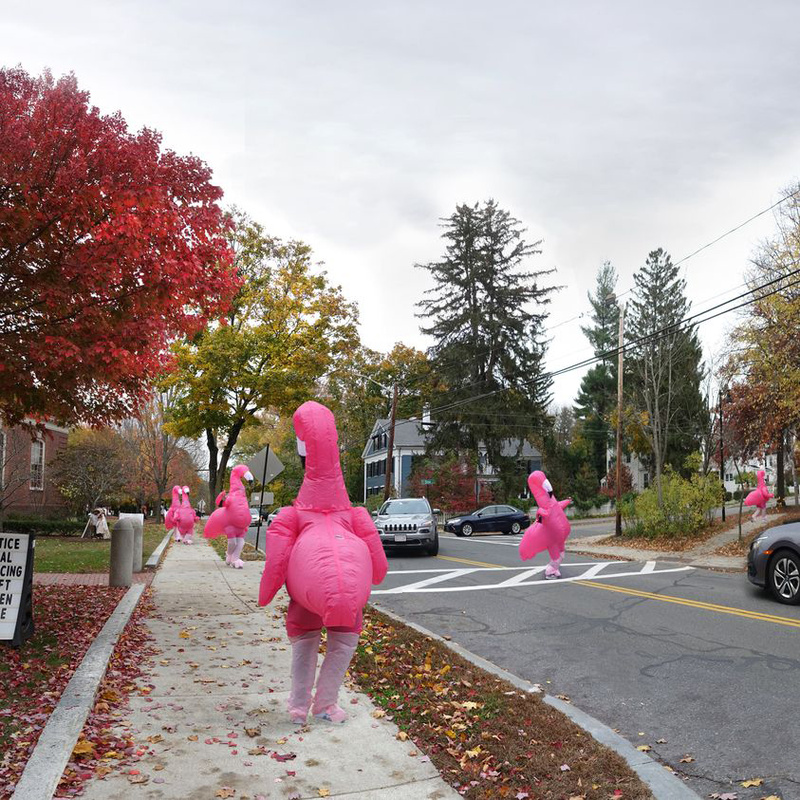 Six flamingos, Concord - More Halloween