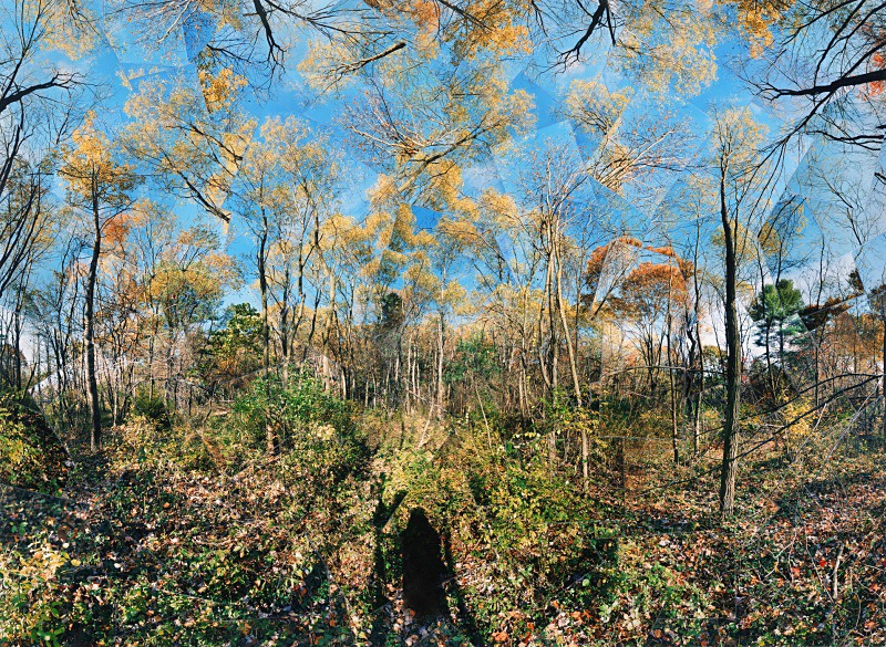 Pleasure,  Walden Woods - Walden and Cape Cod