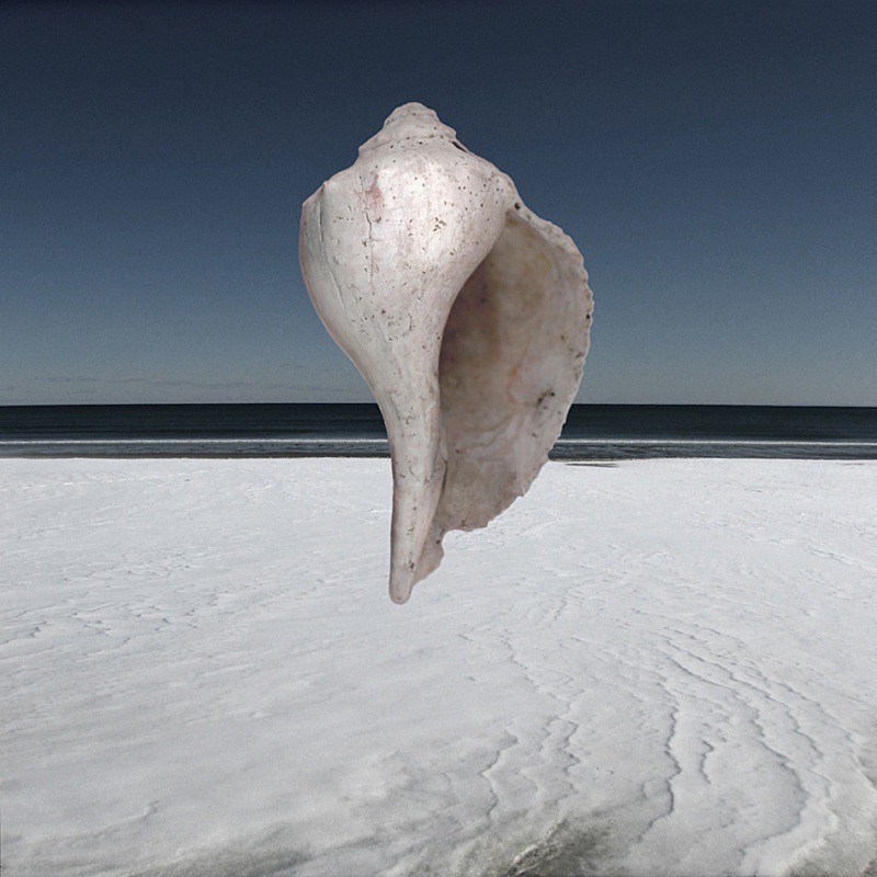 Winter Pearl - Ocean Shell