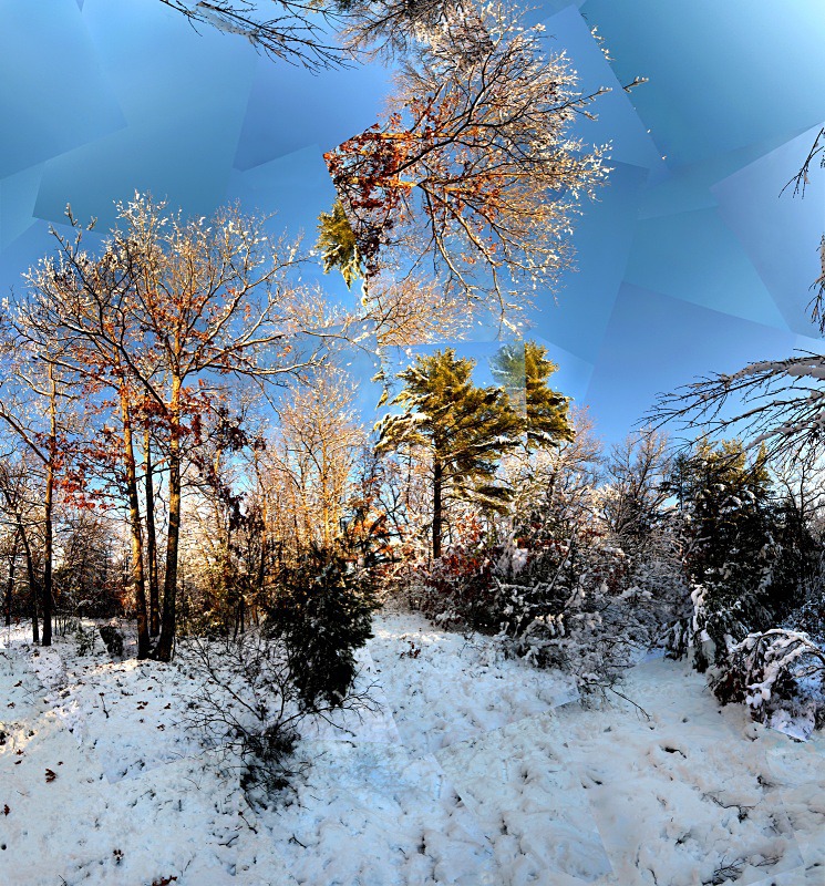 Snow storm - New England Woods