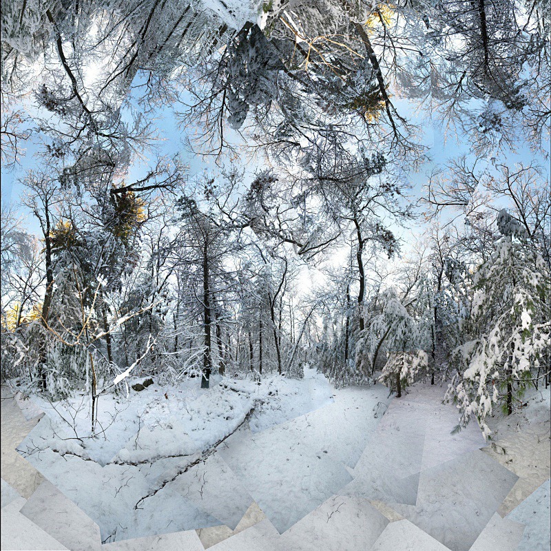 Morpheus - New England Woods