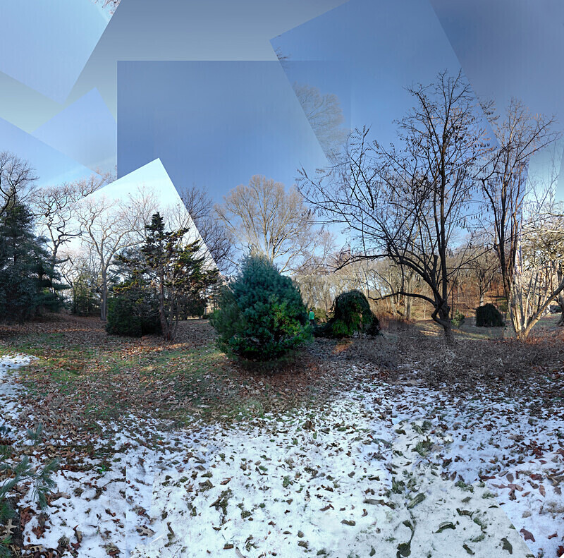 January 2020  - Arnold Arboretum - Dusk - New England Woods