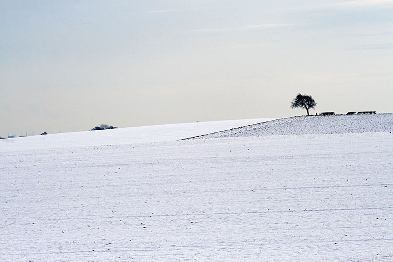  - Battlefield area