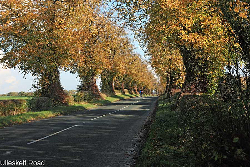  - Various Photos