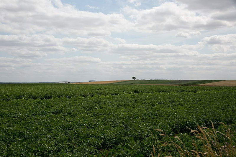  - Battlefield area