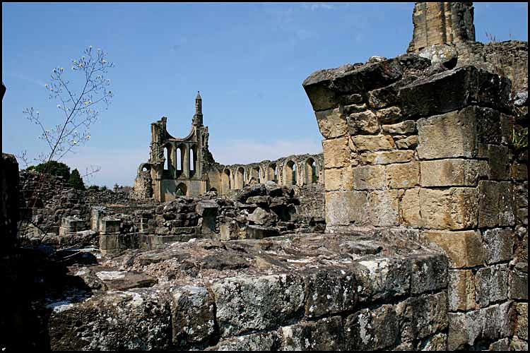  - Byland Abbey