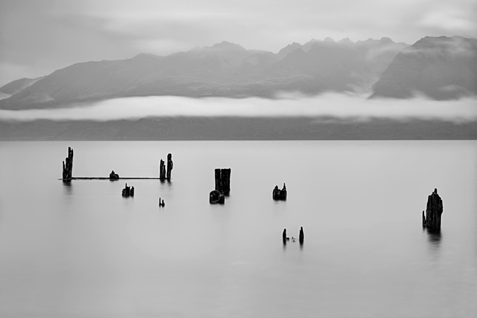 Mood - New Zealand