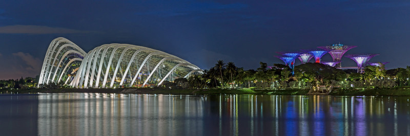 Gardens at Night - Singapore