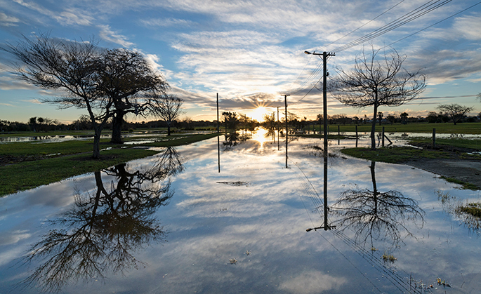 Waitaki Street - New Zealand