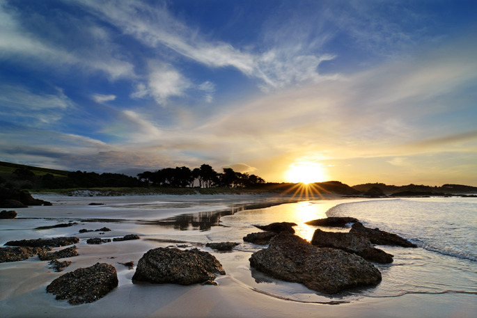 Tawharanui - New Zealand