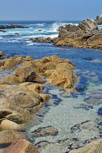 Monterey Bay - USA