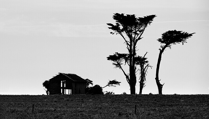 Granity - New Zealand
