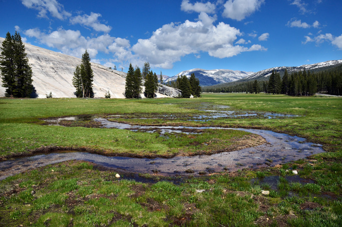 Tuolumne Meadows - Yosemite National Park - USA