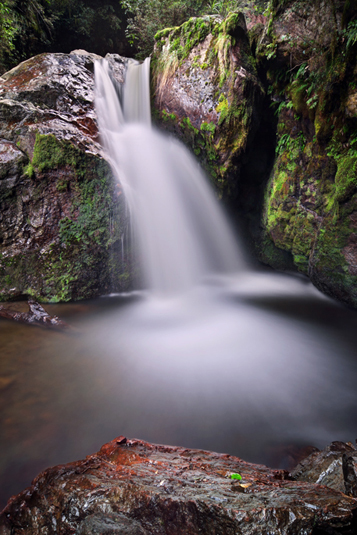 Sharplin Falls - New Zealand