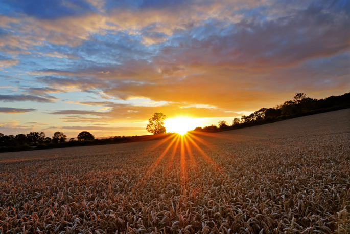Kemerton Fields - Central England