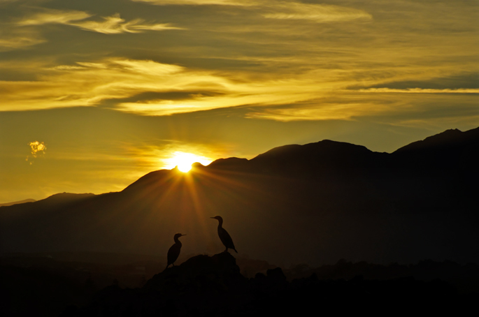 Kaikoura - New Zealand