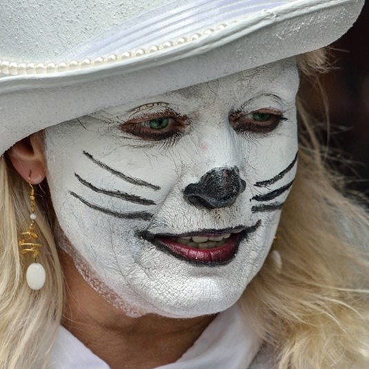 White Rabbit - People, Music and Events