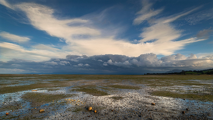Puponga Mudflats - New Zealand
