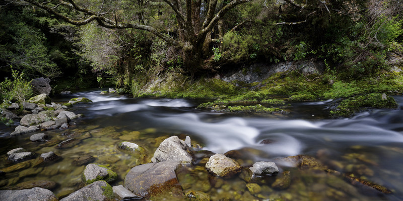 Riuwaka River - New Zealand