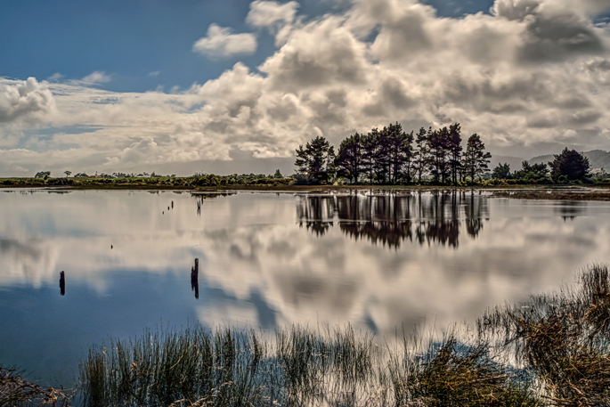 Baker Creek - New Zealand