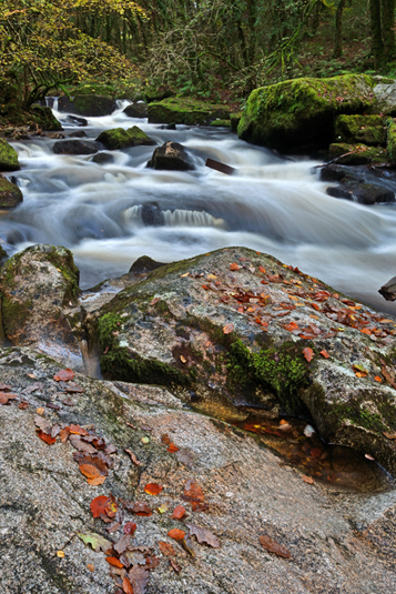 Golitha Falls - Dartmoor - Southern England