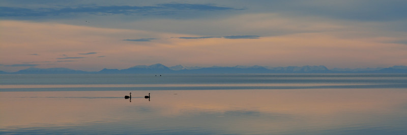 Swan Lake - Panorama