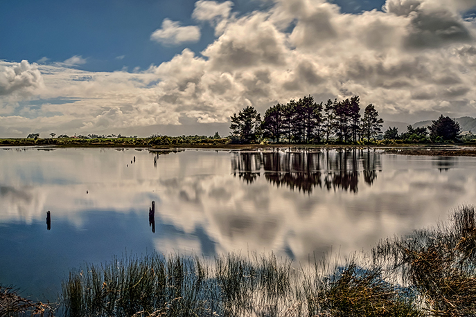 Baker Creek - New Zealand