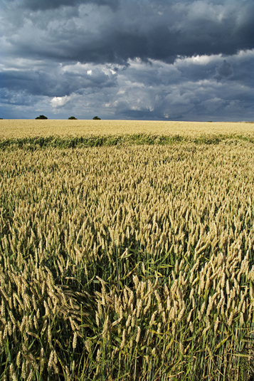 Big Sky Suffolk - Central England