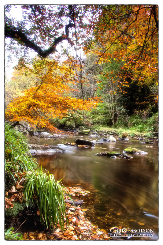 Burntollet River, Ness Country Park