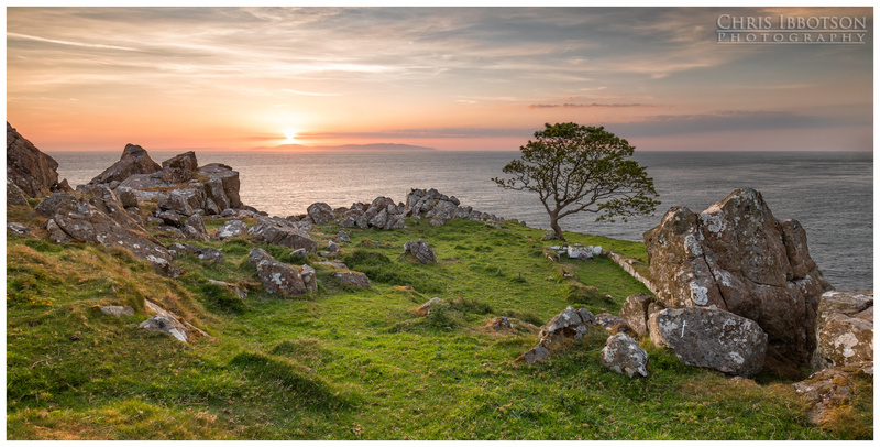 The Tree, Murlough Bay