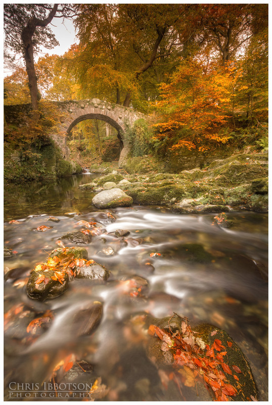 Foley's Bridge, Tollymore Forest