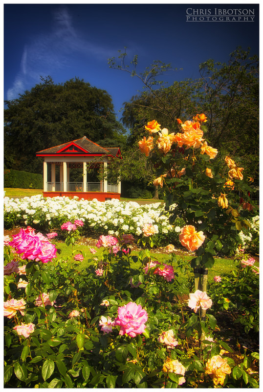 Belfast Botanic Gardens