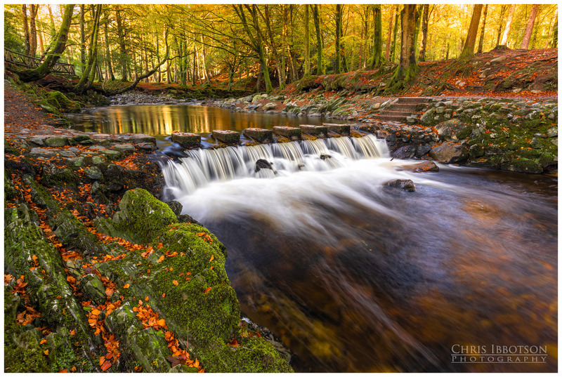 The Stones, Tollymore Forest