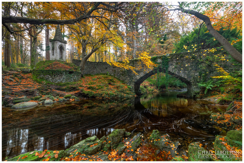 Ivy Bridge, Tollymore Forest