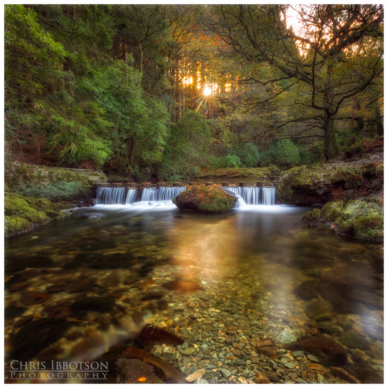 The Crossing, Tollymore Forest