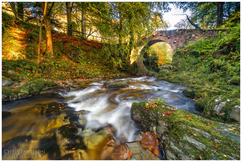 River Runs Through it, Tollymore Forest