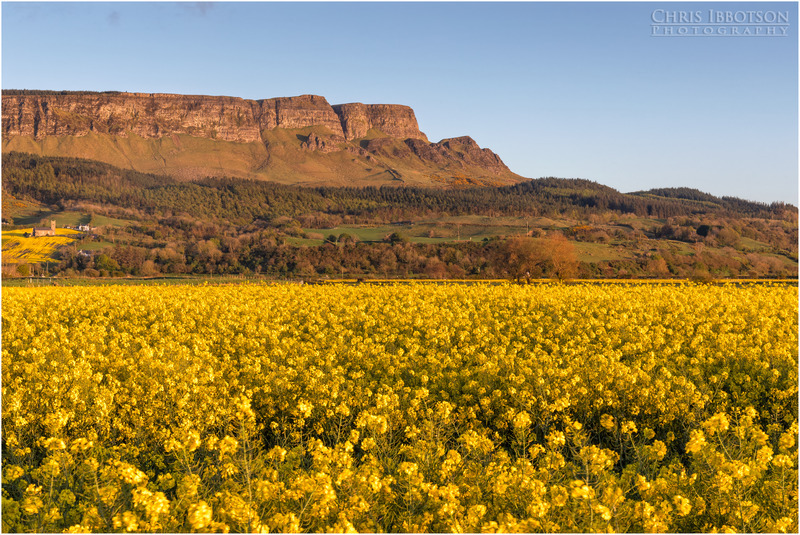 The Rapeseed Field, Binevenagh