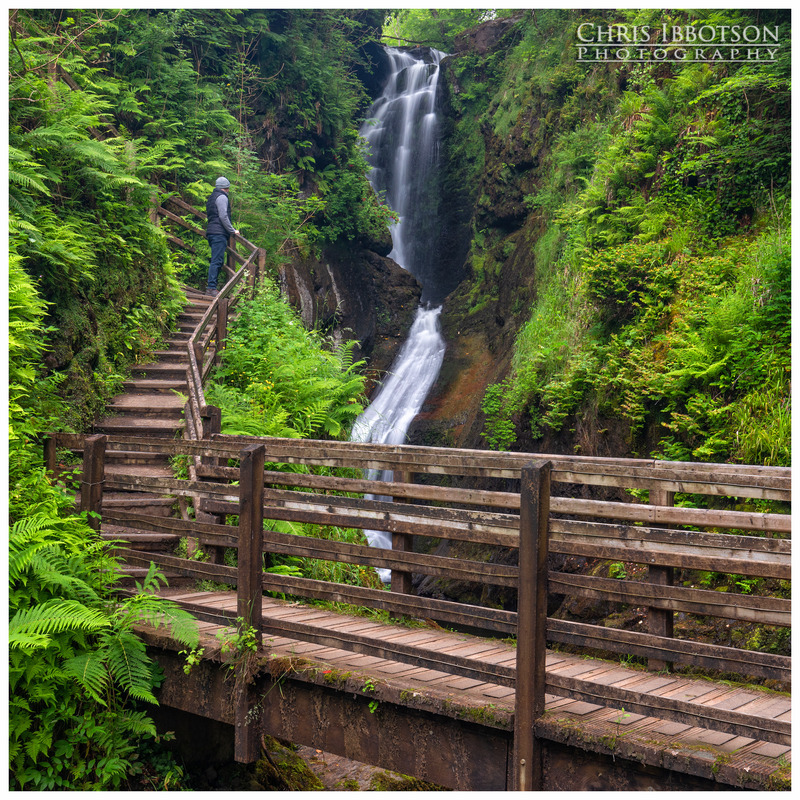 Across the Bridge, Glenariff Forest