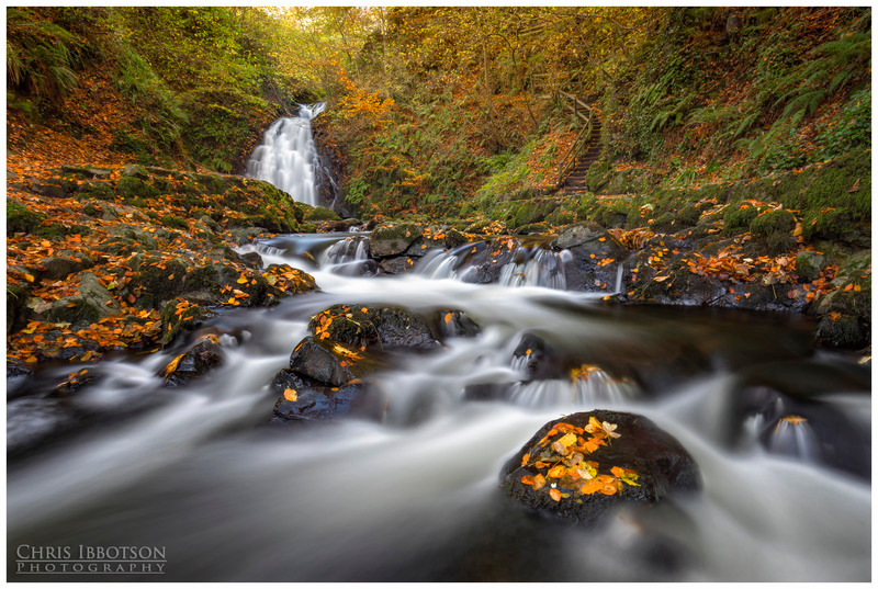 The Waterfalls, Gleno