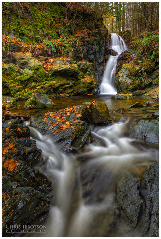 Maria's Falls Tollymore