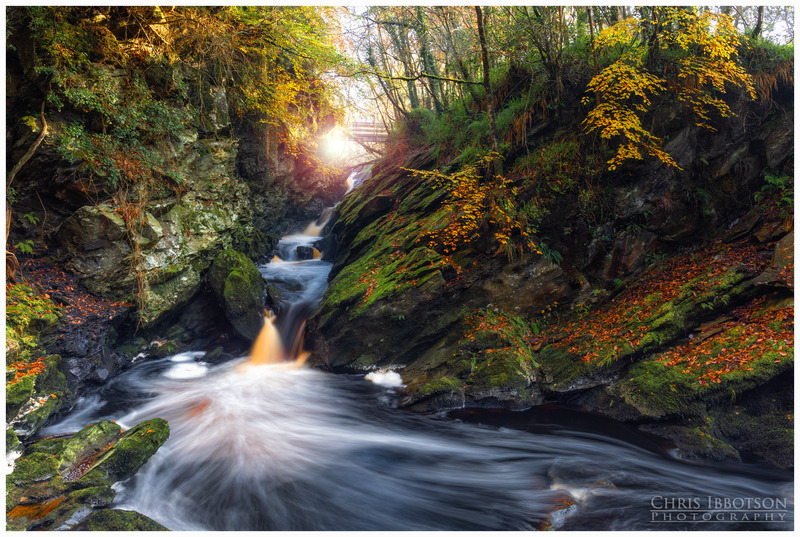 The Ravine, Ness Country Park