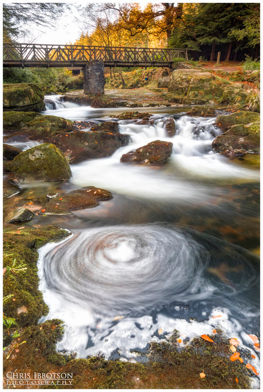 Shimna Swirls, Tollymore Forest