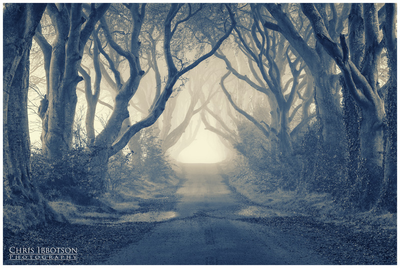 The Moody Dark Hedges
