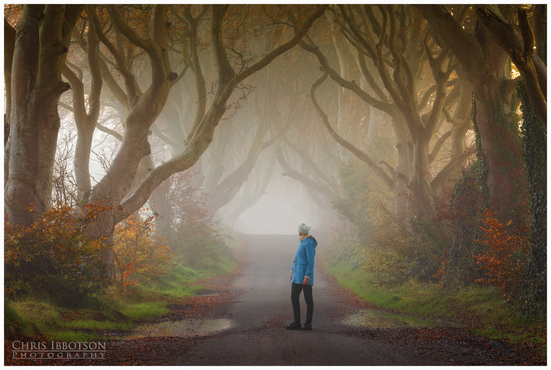 The Misty Road, Dark Hedges