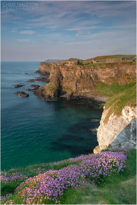 Dunluce Castle Sea Pinks