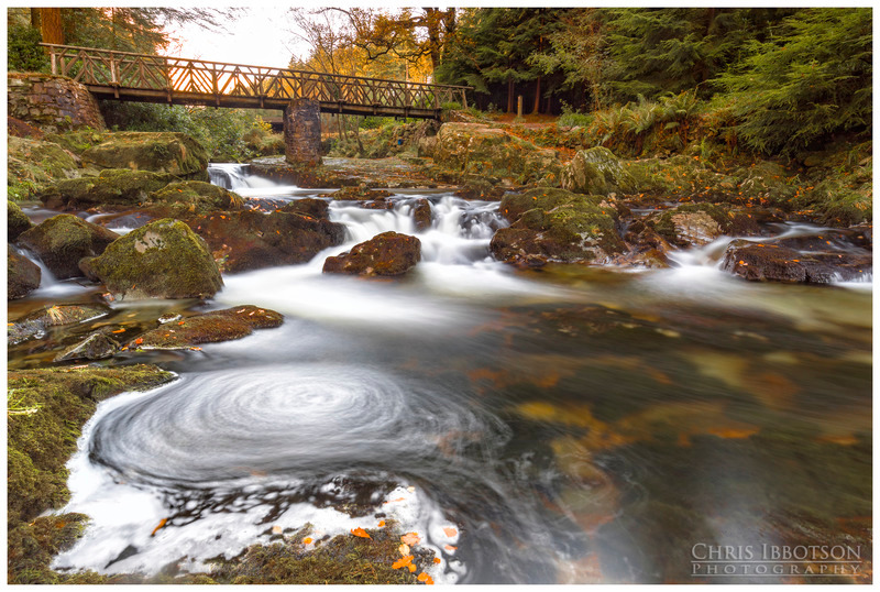 The Rustic Bridge Tollymore Forest