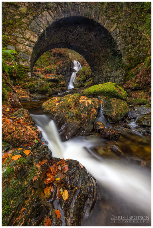 Maria's Bridge, Tollymore Forest Park